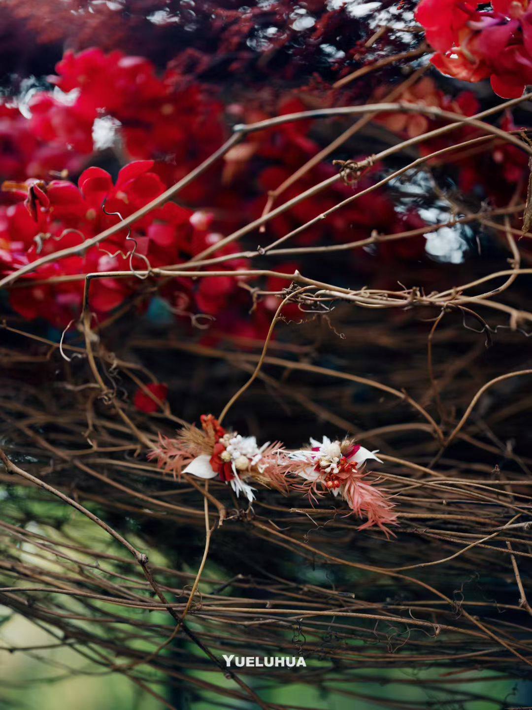 Crimson flowers woven through branching stems